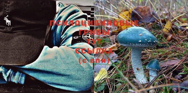 кокаин перу Дмитриев
