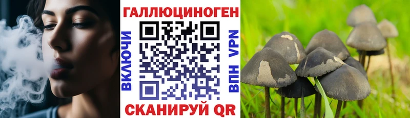 Галлюциногенные грибы GOLDEN TEACHER  Енисейск 