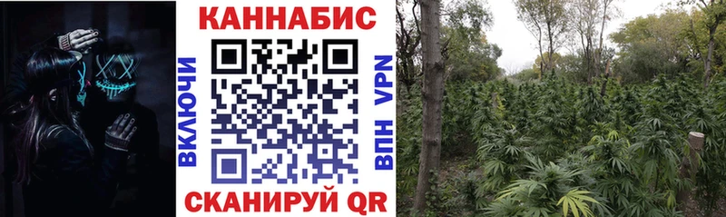Конопля планчик  Енисейск 